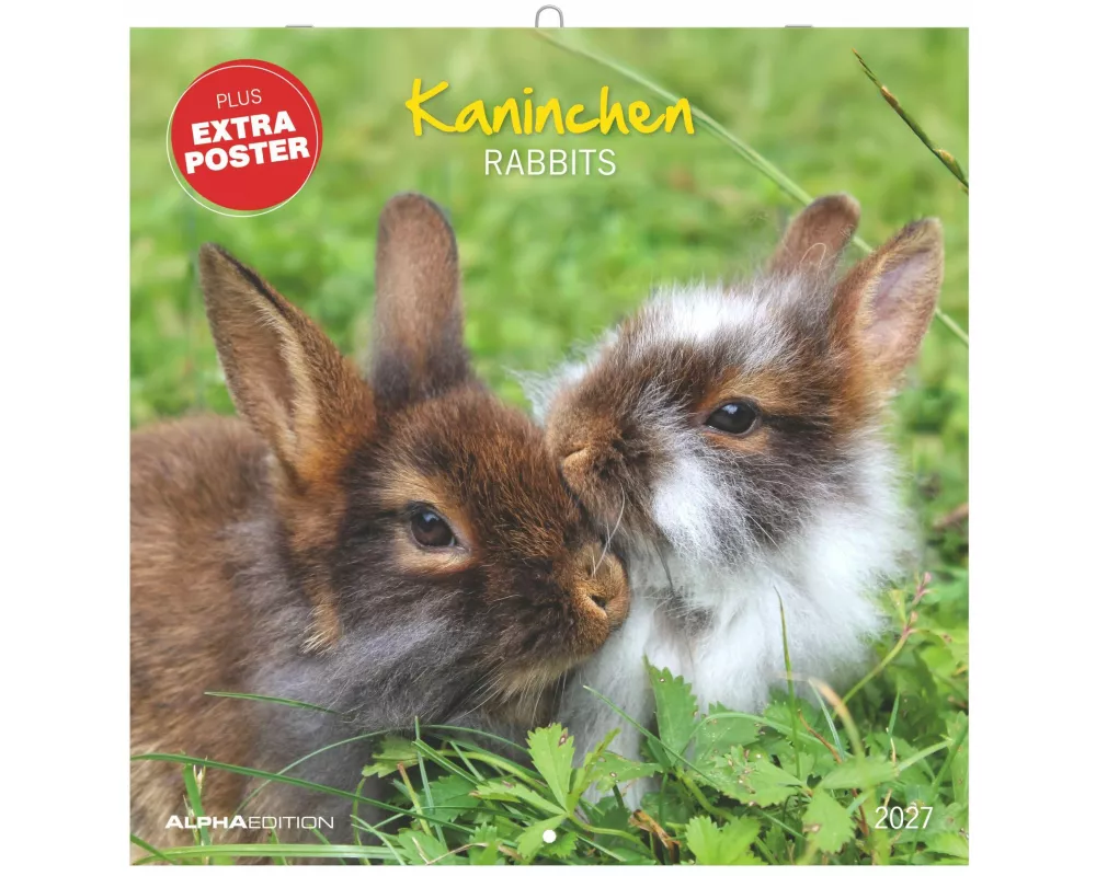 Kaninchen 2027
