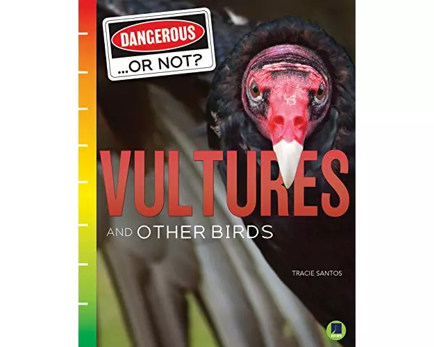 Vultures and Other Birds