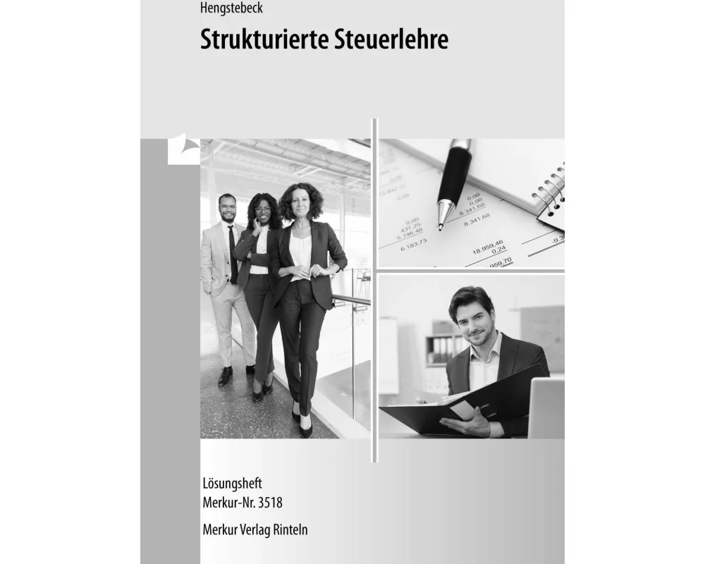 Strukturierte Steuerlehre