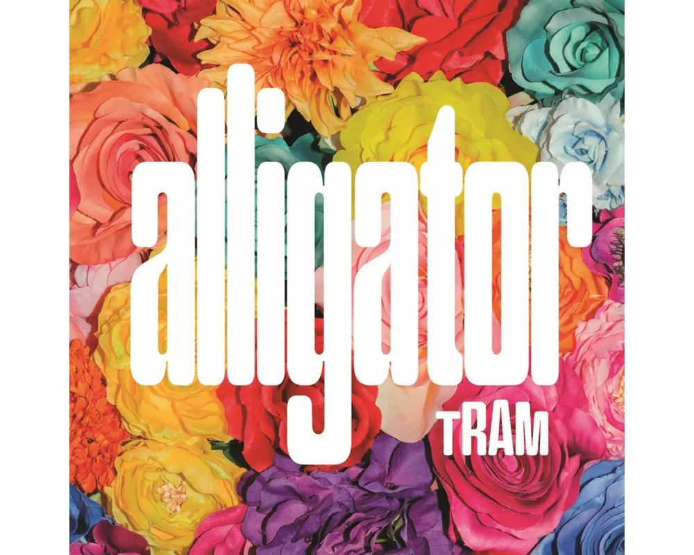 Alligator