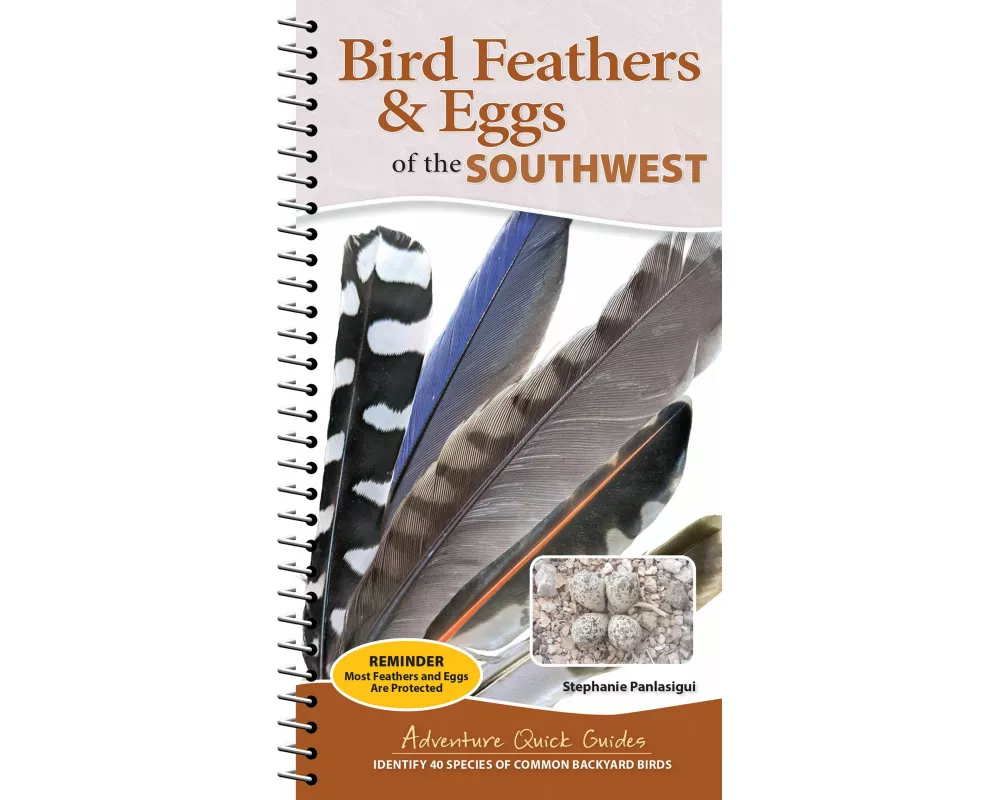 Bird Feathers & Eggs of the Southwest