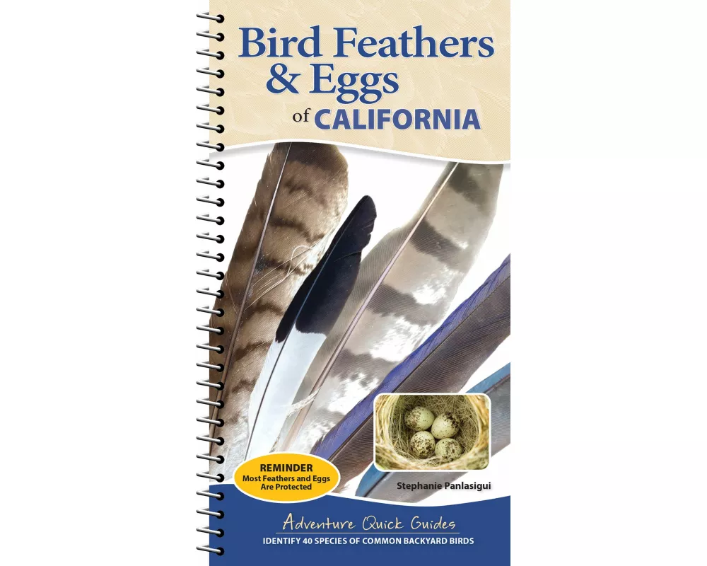 Bird Feathers & Eggs of California