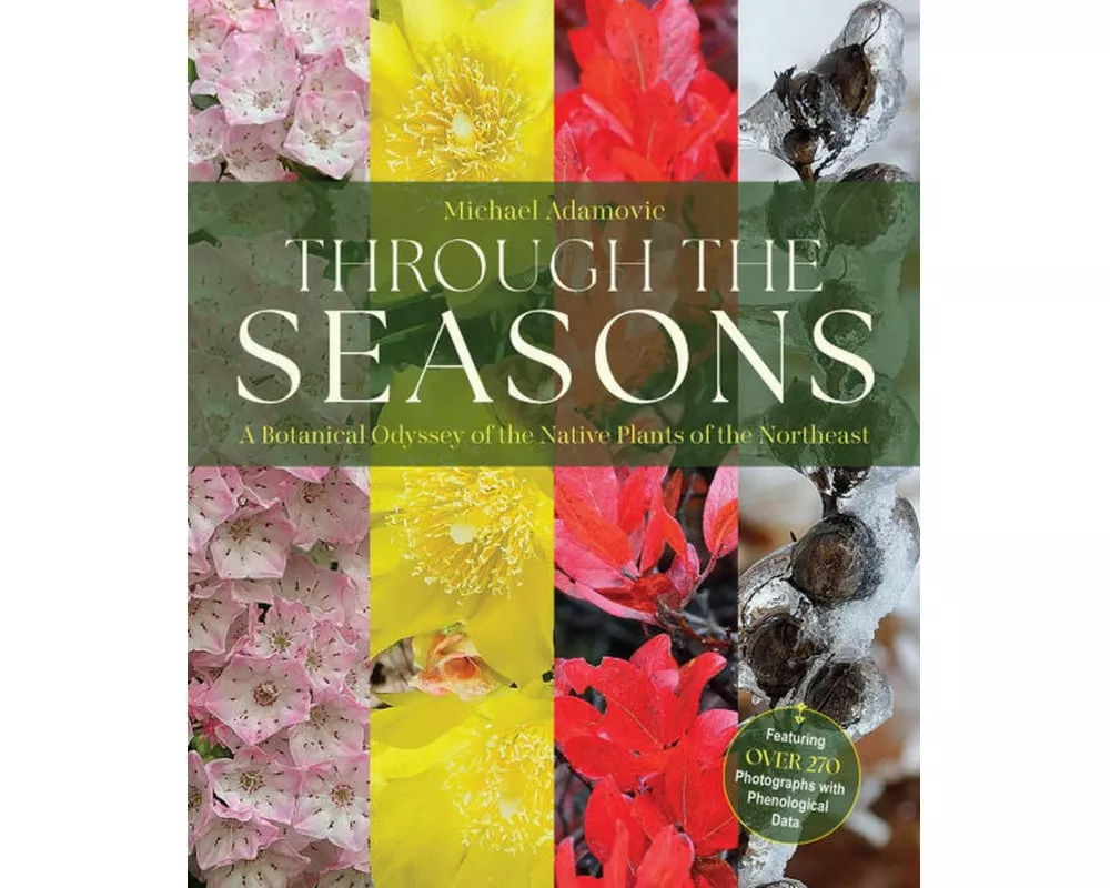 Through the Seasons