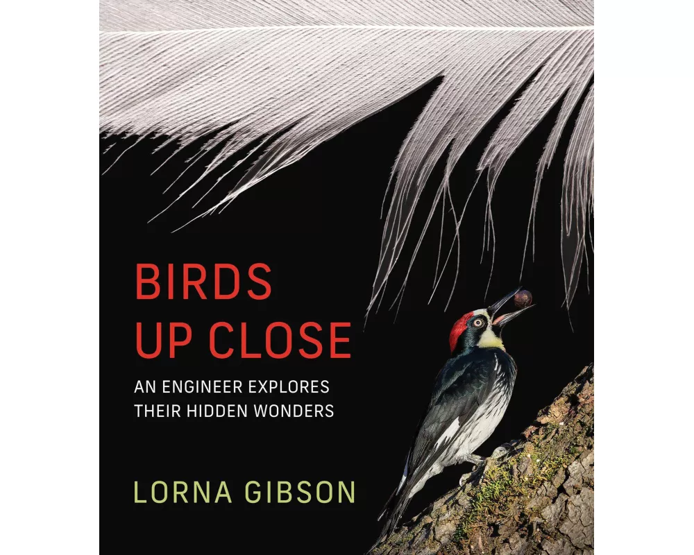 Birds Up Close
