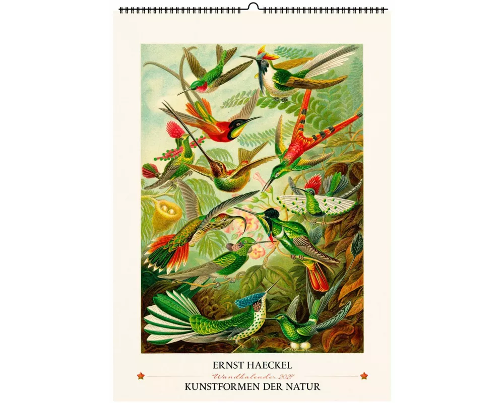 Ernst Haeckel. Kunstformen der Natur. Wandkalender 2027