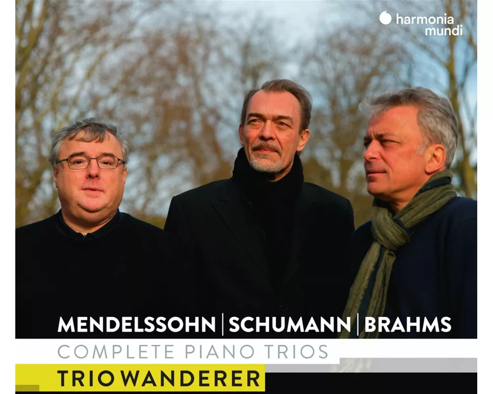 Mendelssohn,Schumann & Brahms: Complete Piano Tri