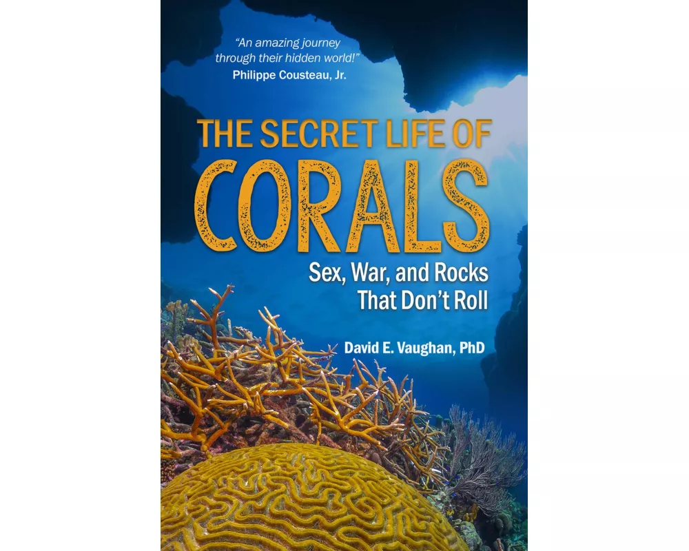 The Secret Life of Corals