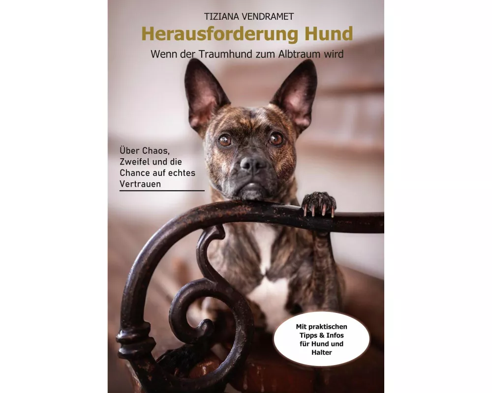 Herausforderung Hund