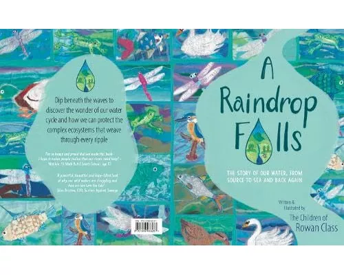 A Raindrop Falls