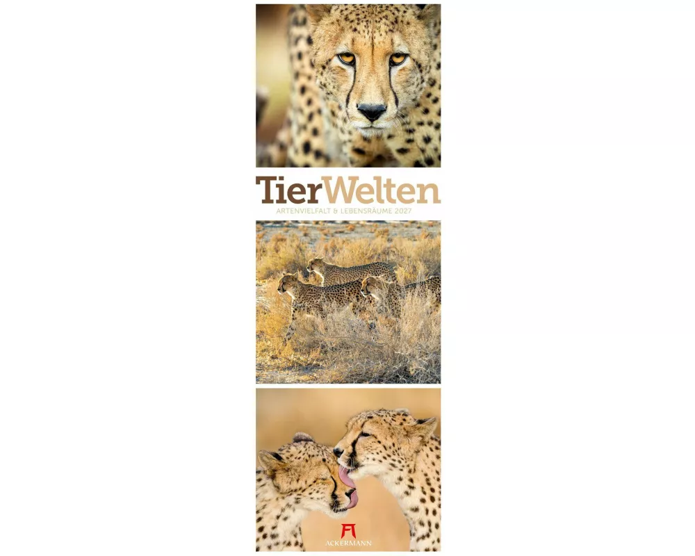 Tierwelten Triplet-Kalender 2027 | Artenvielfalt & Lebensräume