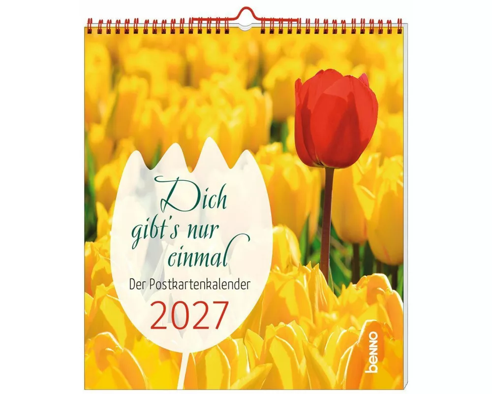 Dich gibt's nur einmal 2027