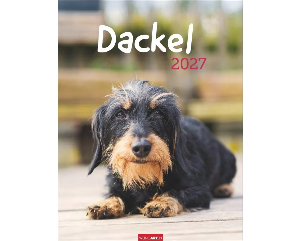 Dackel Kalender 2027