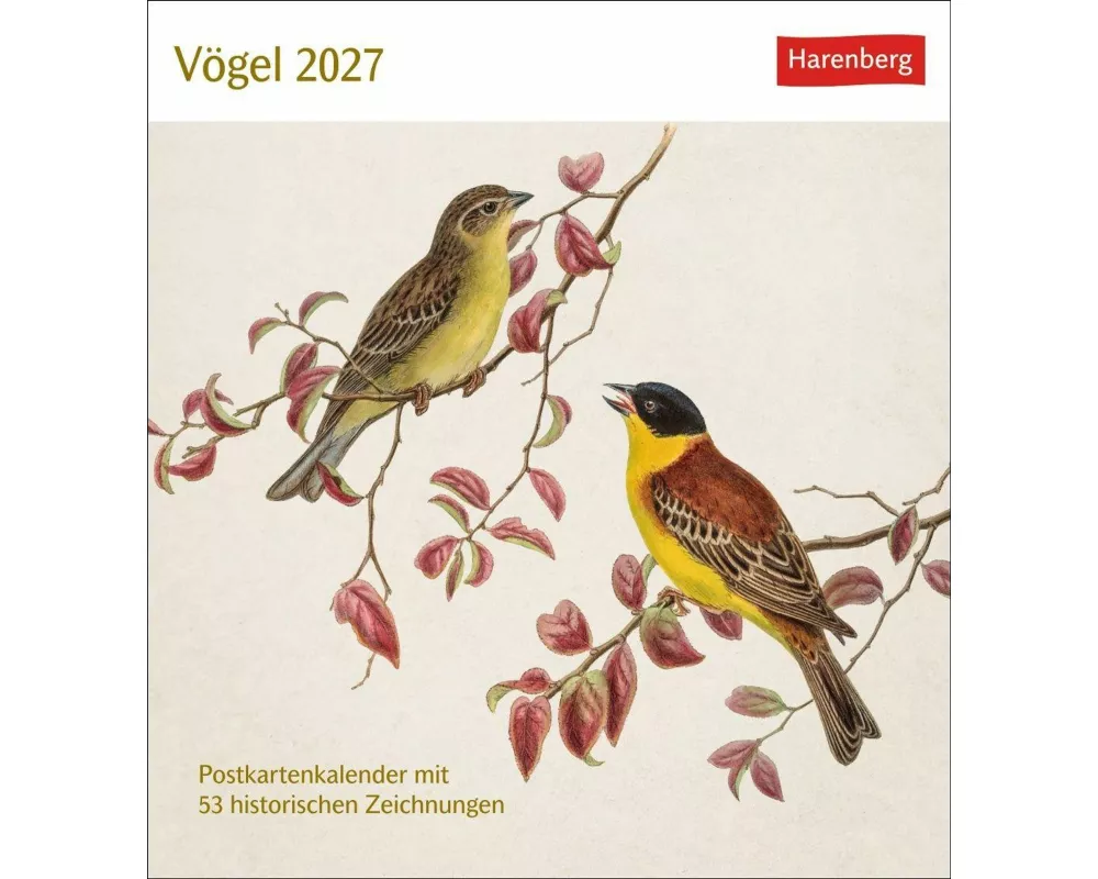 Vögel Postkartenkalender 2027 - Postkartenkalender mit 53 historischen Zeichnungen