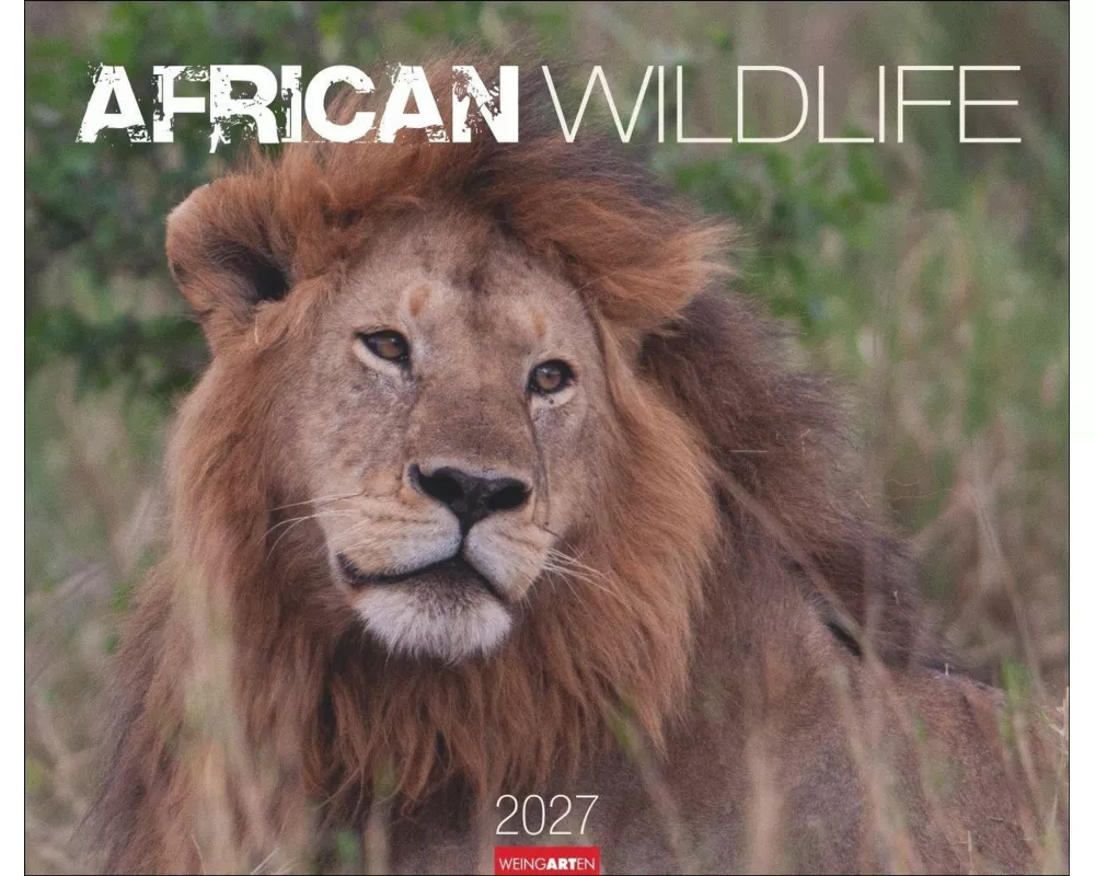 African Wildlife Kalender 2027