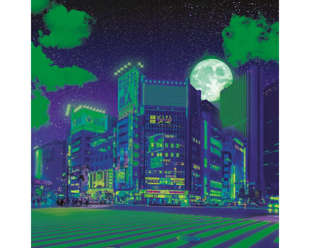 Neon Puzzle 500 Teile – Tokio