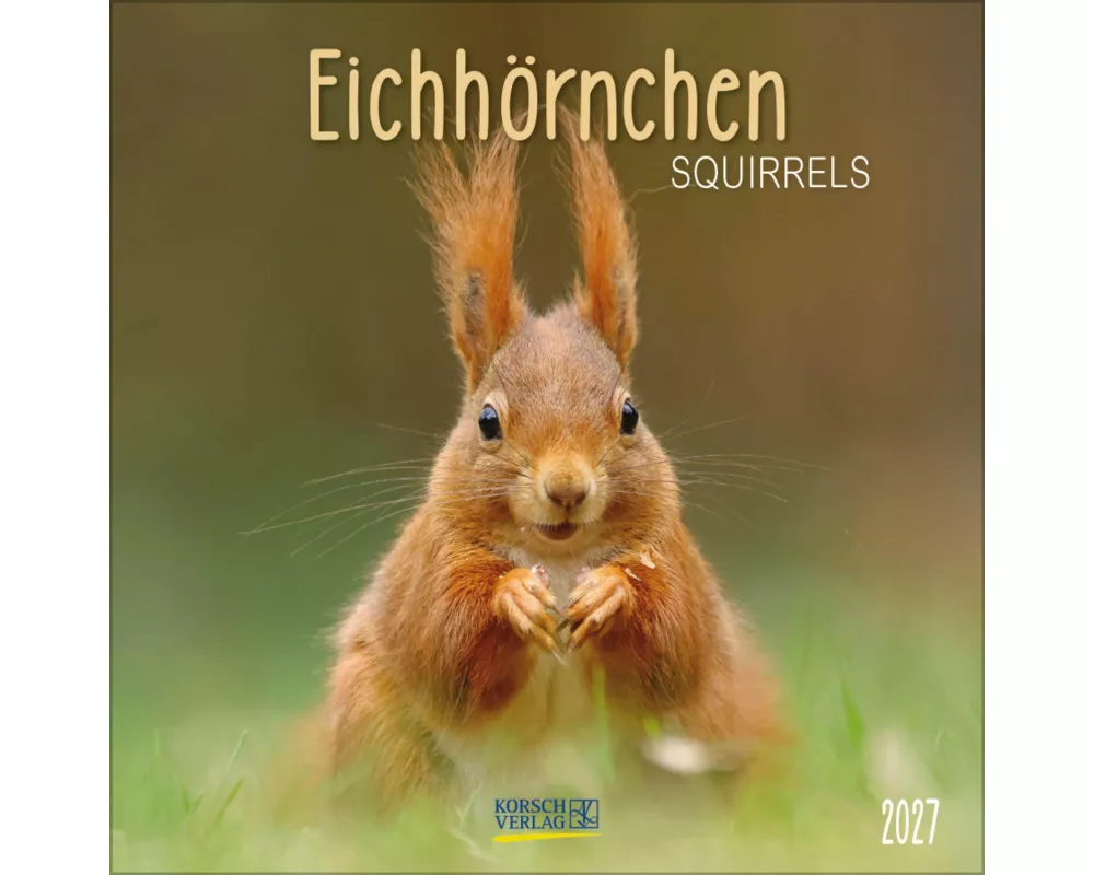 Eichhörnchen 2027