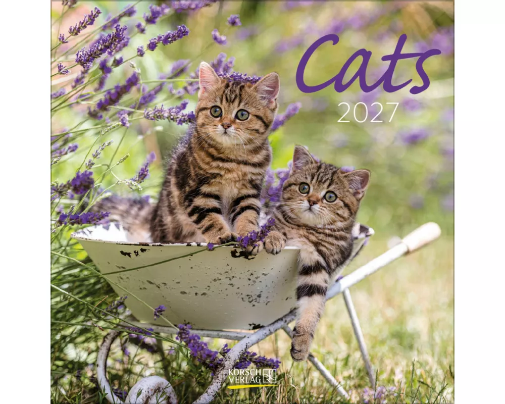 Cats 2027