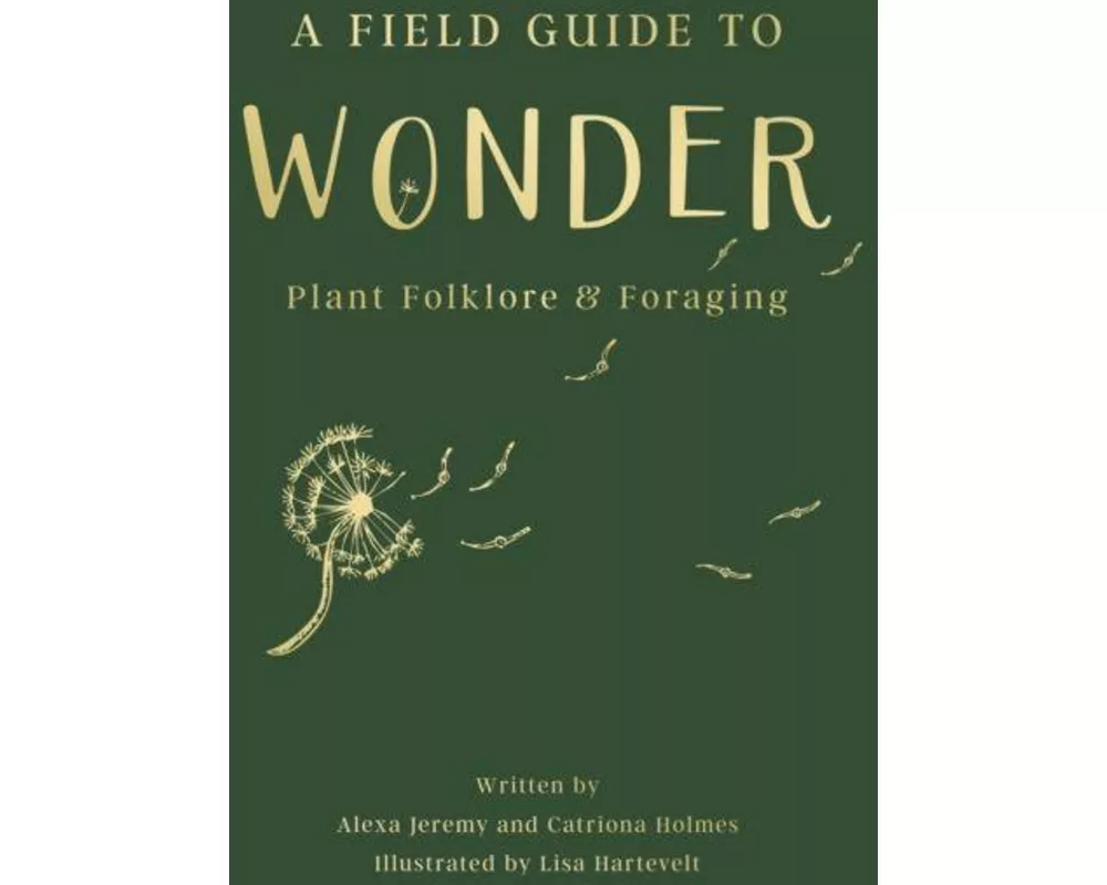 A Field Guide to Wonder
