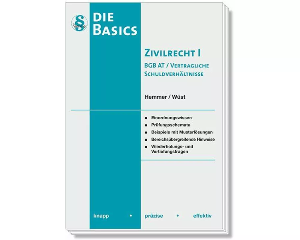 Die Basics Zivilrecht I - BGB AT / Vertragliche Schuldverhältnisse