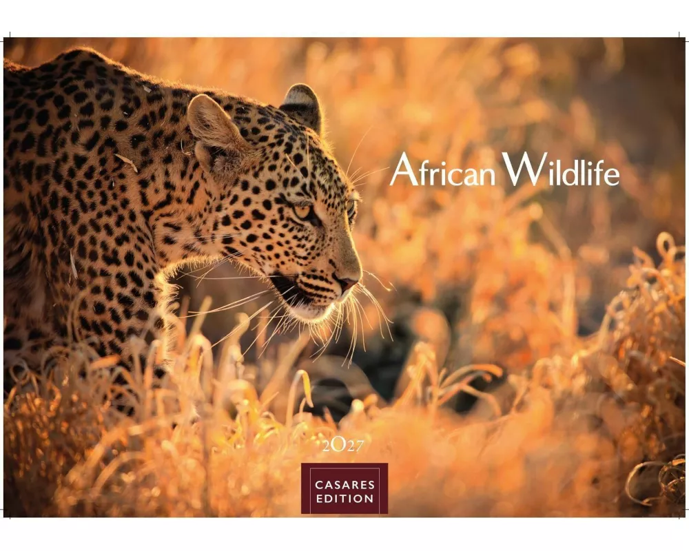 Wilde Tiere Afrikas Kalender 2027 - Wandkalender | Fotokalender Afrika 35x50cm | Naturfotografie | Tierkalender Afrika | Geschenk für Naturliebhaber