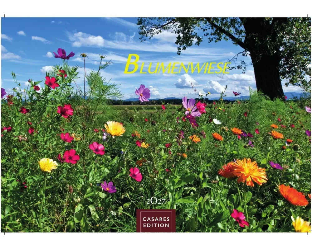 Blumenwiese Kalender 2027 - Wandkalender | Fotokalender Naturkalender 35x50cm | Wunderschöne Fotos der blühenden Natur