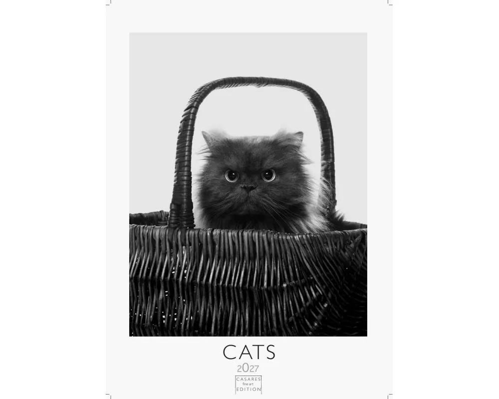 Cats schwarz-weiss Kalender 2027 - Wandkalender | Fotokalender Tierkalender Grosses Format 59x42cm. - Katzenkalender | Perfekt für Katzenliebhaber und