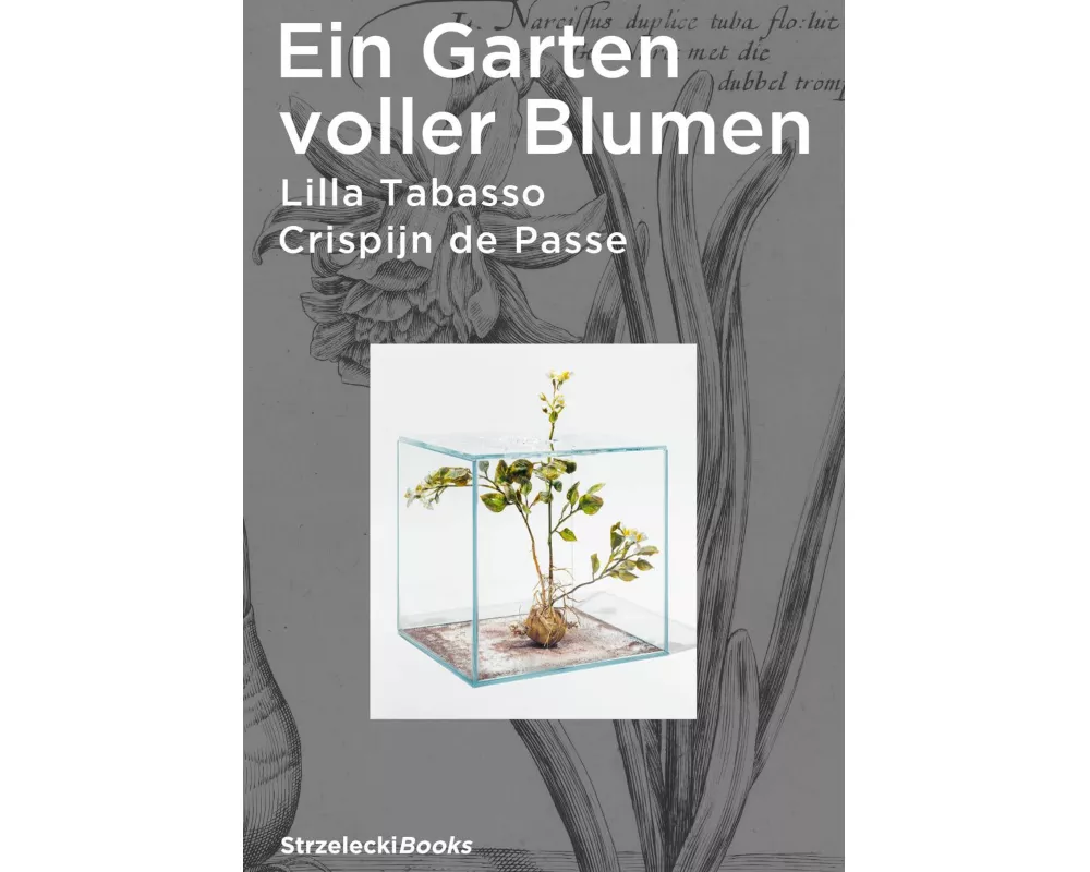 Ein Garten voller Blumen