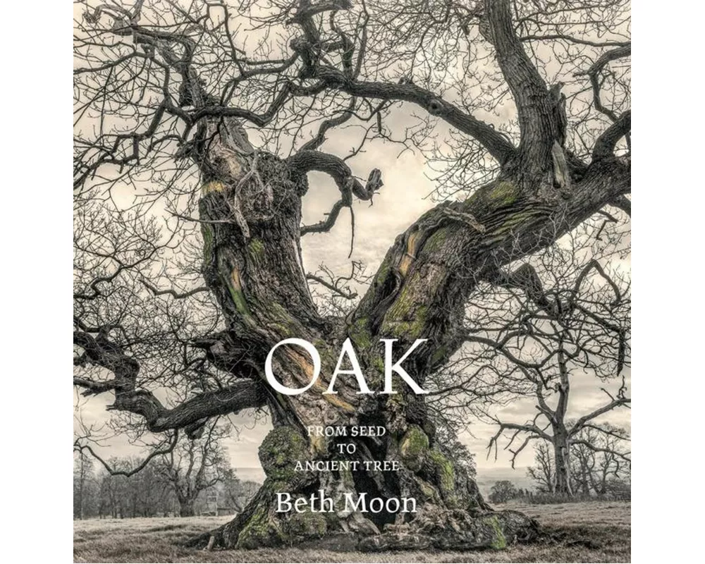 Oak