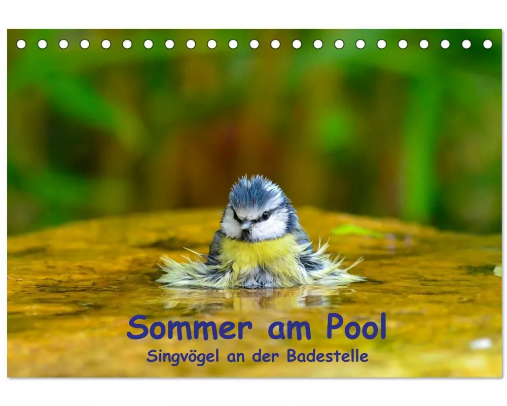 Sommer am Pool - Singvögel an der Badestelle (Tischkalender 2026 DIN A5 quer), CALVENDO Monatskalender