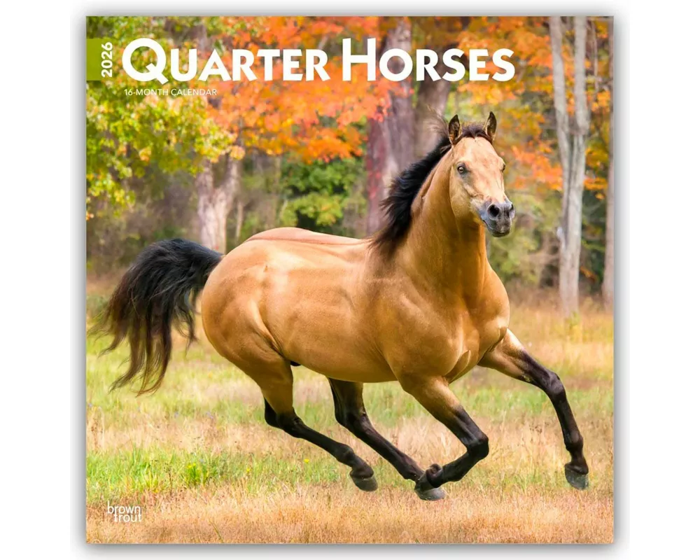 Quarter Horses 2026 12 X 24 Inch (Hanging) Monthly Square Wall Calendar Plastic-Free