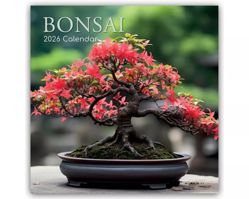 Bonsai - Bonsaibäume 2026 - 16-Monatskalender