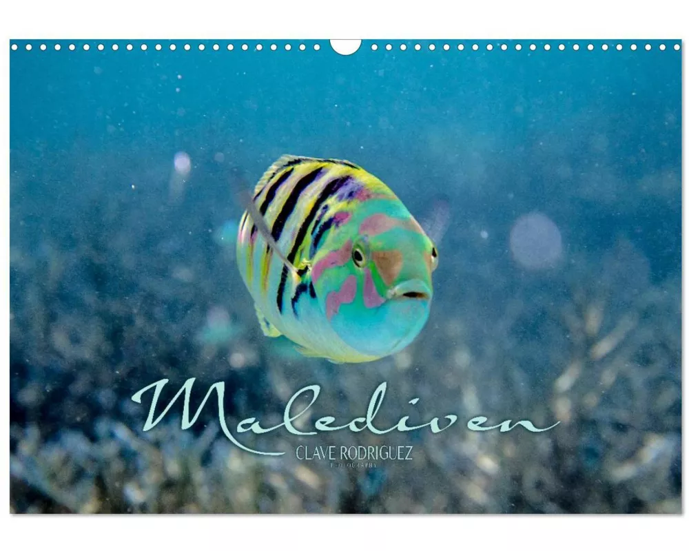 Unterwasserwelt der Malediven II (Wandkalender 2026 DIN A3 quer), CALVENDO Monatskalender