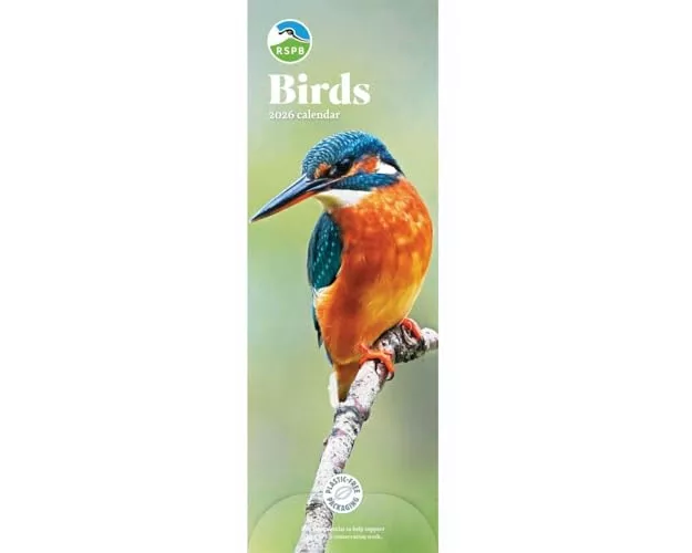 Rspb Birds Slim Calendar 2026