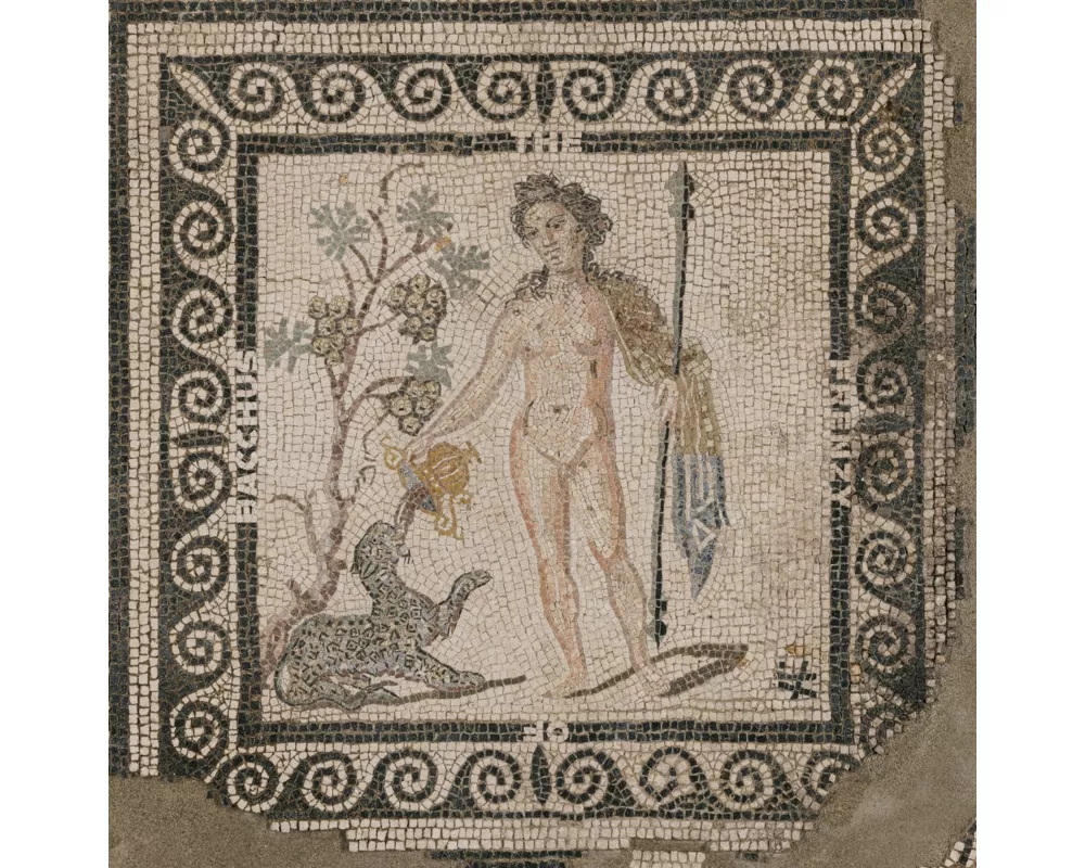 The Frenzy of Bacchus