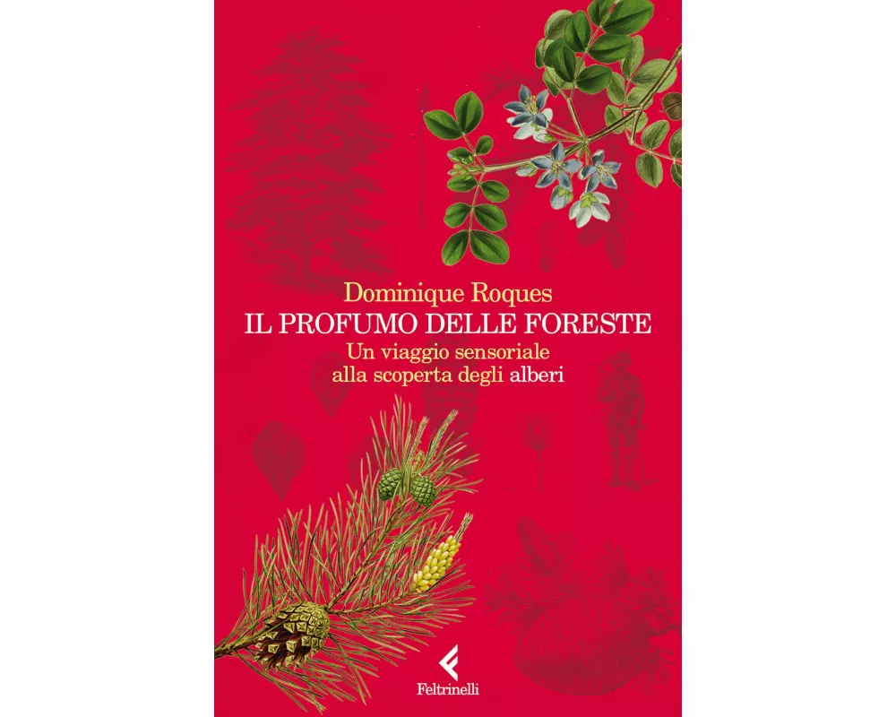 Il profumo delle foreste. Un viaggio sensoriale alla scoperta degli alberi