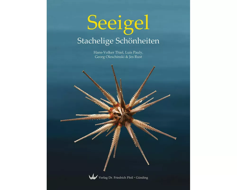 Seeigel - Stachelige Schönheiten