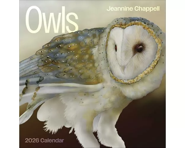 Owls: Jeannine Chappell 2026 Wall Calendar