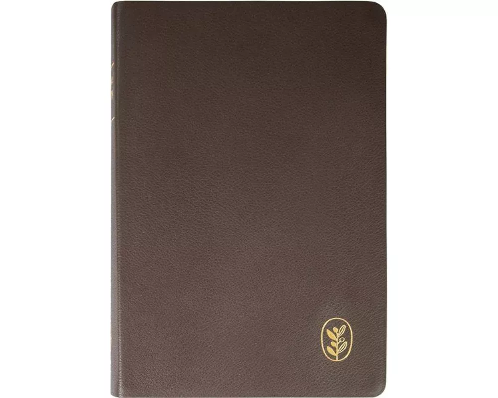 Anabaptist Community Bible