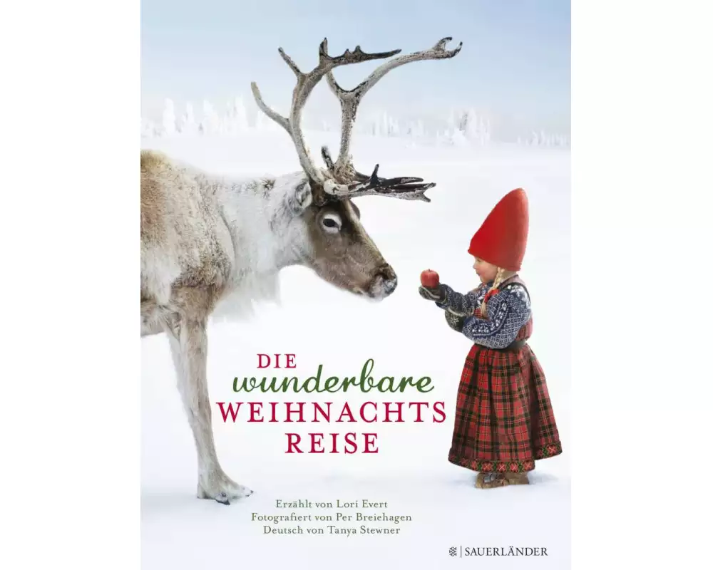 Die wunderbare Weihnachtsreise