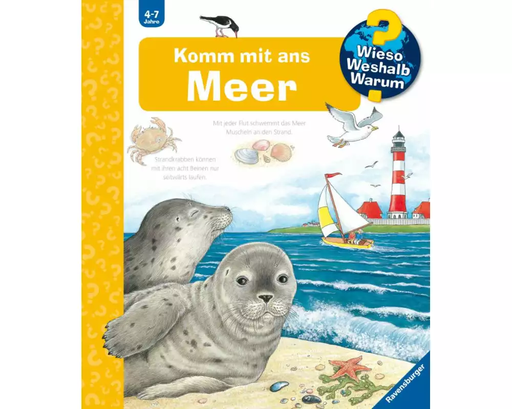 Wieso? Weshalb? Warum? Band 17 - Komm mit ans Meer