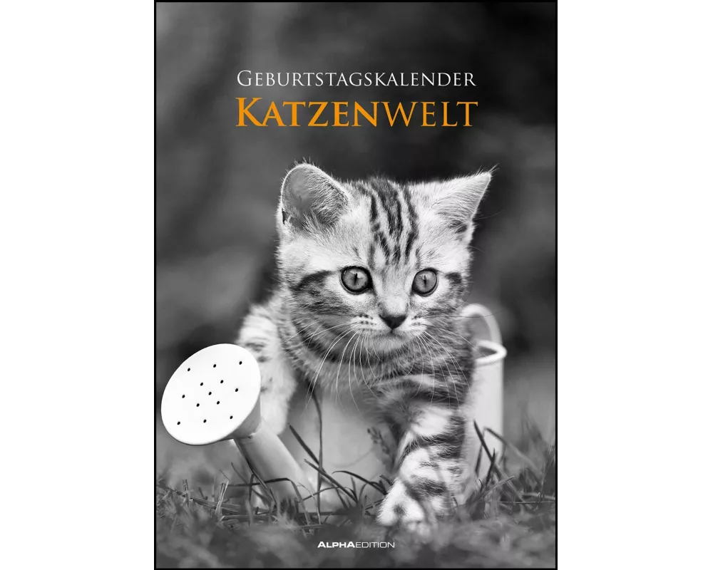 Alpha Edition - Geburtstagskalender Katzenwelt, immerwährend, 21x30cm, Kalender mit 3 Spalten, immerwährendem Kalendarium, niedliche Katzenmotive, vie
