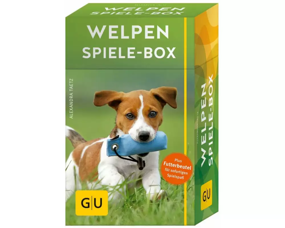 Welpen-Spiele-Box