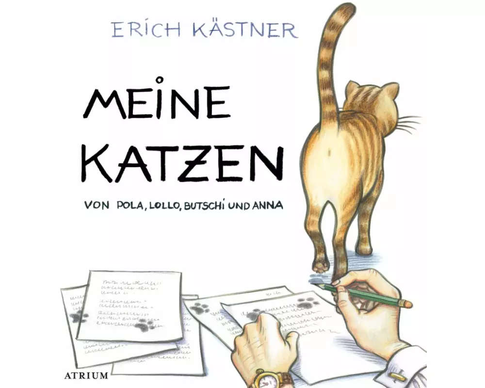 Meine Katzen