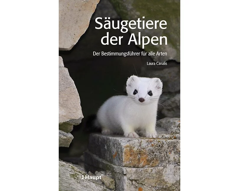 Säugetiere der Alpen