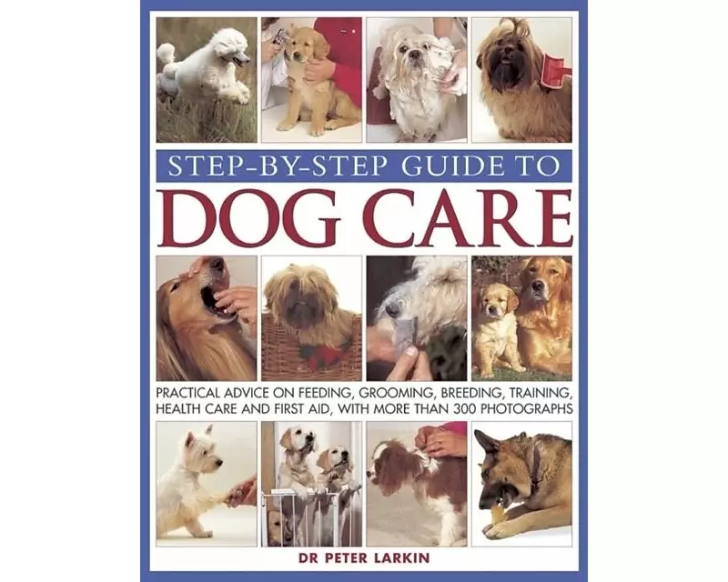 Step-by-step Guide to Dog Care
