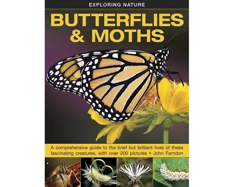 Exploring Nature: Butterflies & Moths