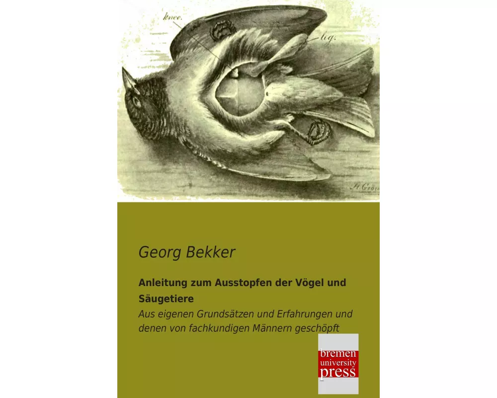 Anleitung zum Ausstopfen der Vögel und Säugetiere