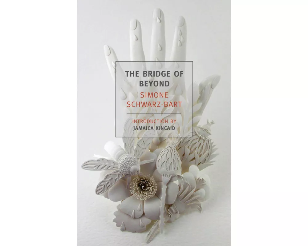 The Bridge of Beyond