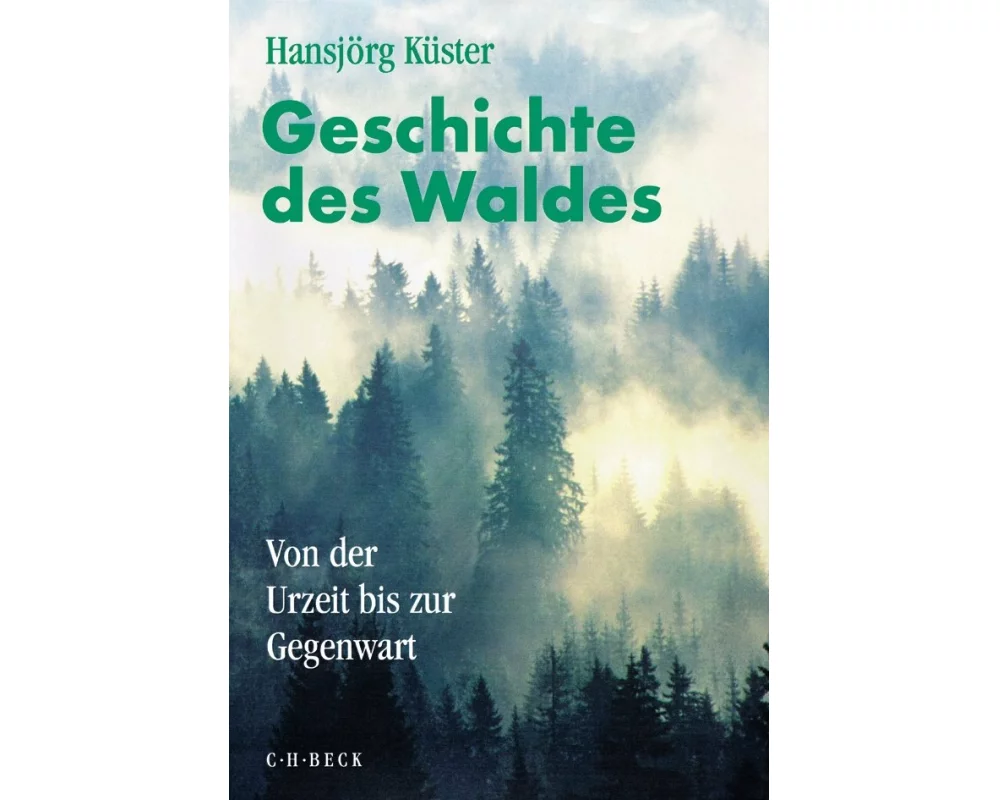 Geschichte des Waldes