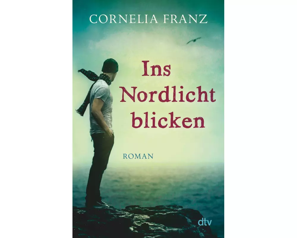 Ins Nordlicht blicken